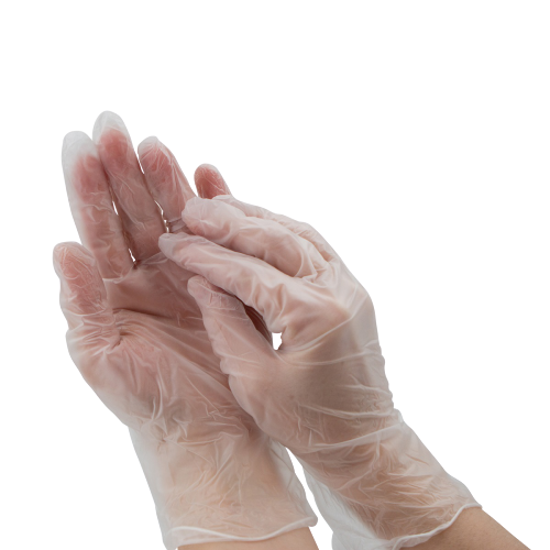 Vinyl Medical Exam Gloves, Case of 1000 Gloves (Powder-Free) - The Glove Store