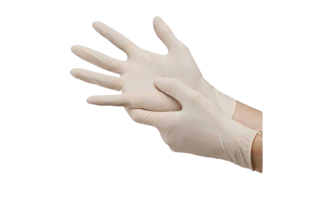 Latex Medical Exam Gloves, Case of 1000 Gloves (Powder-Free) - The Glove Store